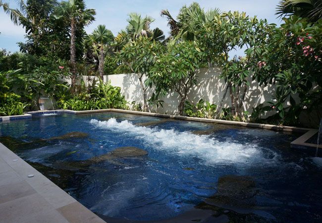 Fluid, Water feature, Swimming pool, Arecales, Composite material, Resort, Tropics, Palm tree, 