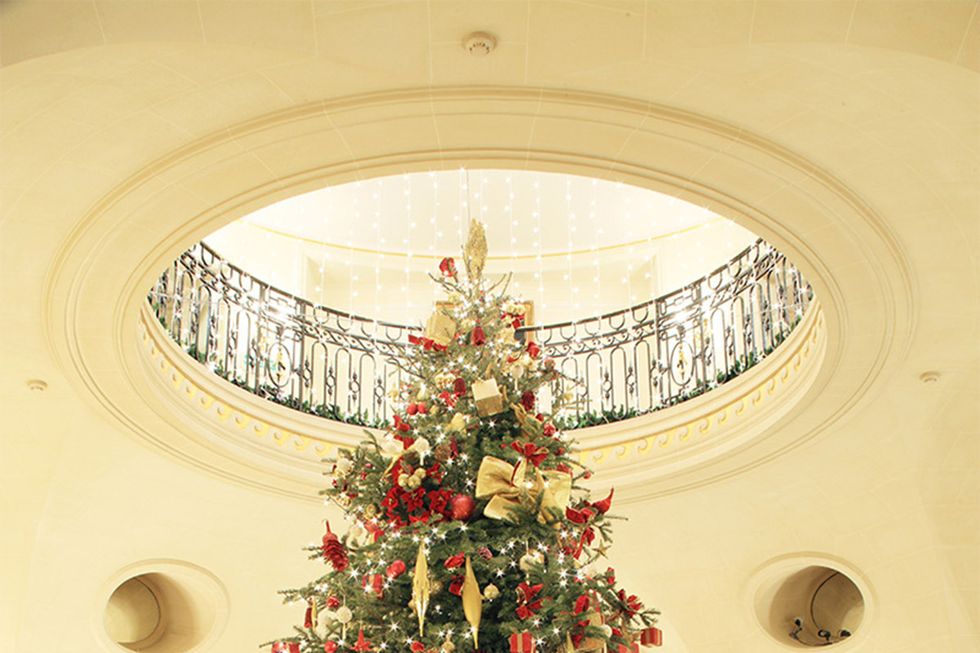 Christmas tree, Christmas decoration, Christmas, Tree, Christmas ornament, Architecture, Room, Plant, Interior design, Colorado spruce, 