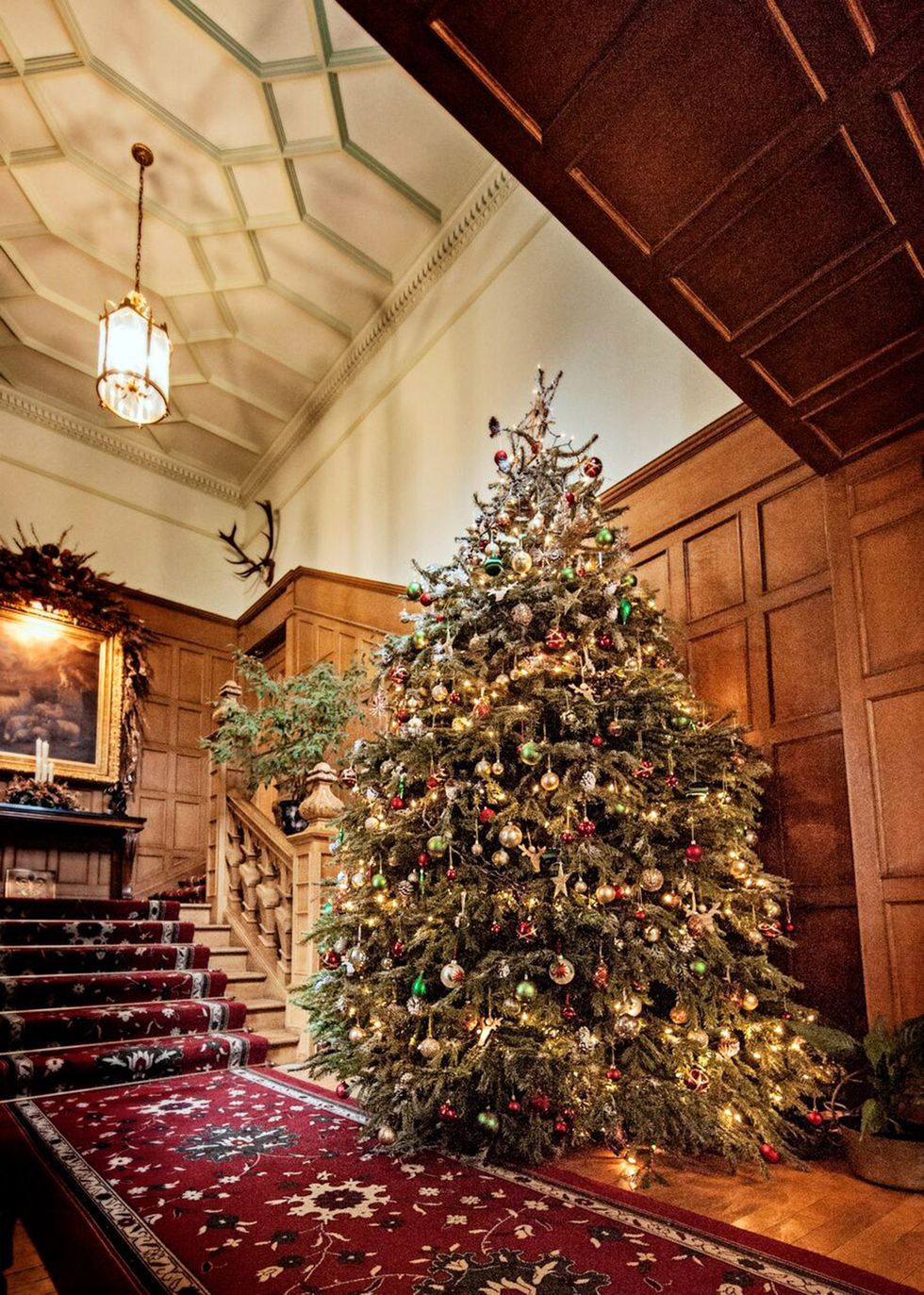 Christmas tree, Christmas, Christmas decoration, Tree, Christmas ornament, Home, Architecture, Branch, Room, Christmas eve, 