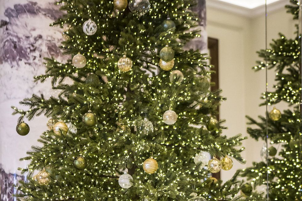 Christmas decoration, Interior design, Christmas tree, Interior design, Holiday, Woody plant, Christmas ornament, Evergreen, Ornament, Christmas, 