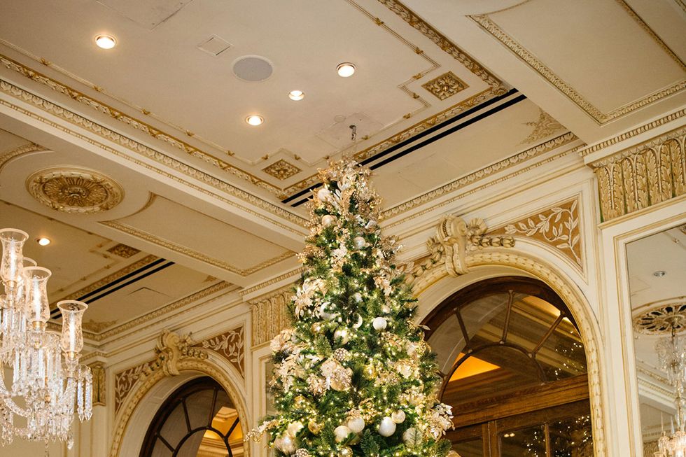 Christmas tree, White, Christmas decoration, Tree, Christmas, Lighting, Architecture, Floristry, Room, Plant, 