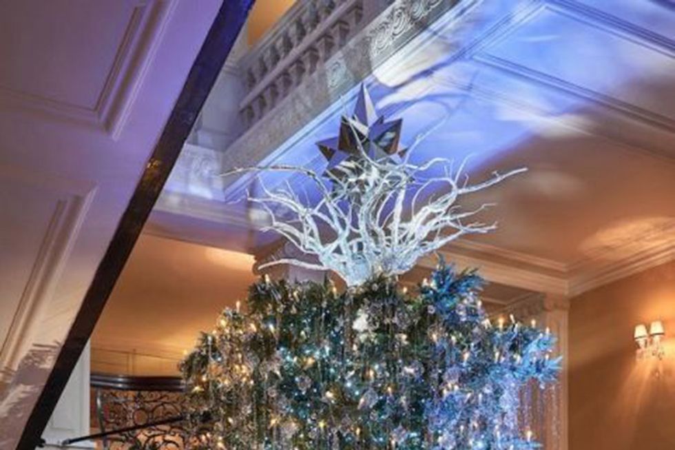 Lobby, Lighting, Interior design, Ceiling, Architecture, Room, Tree, Christmas tree, Building, Christmas decoration, 