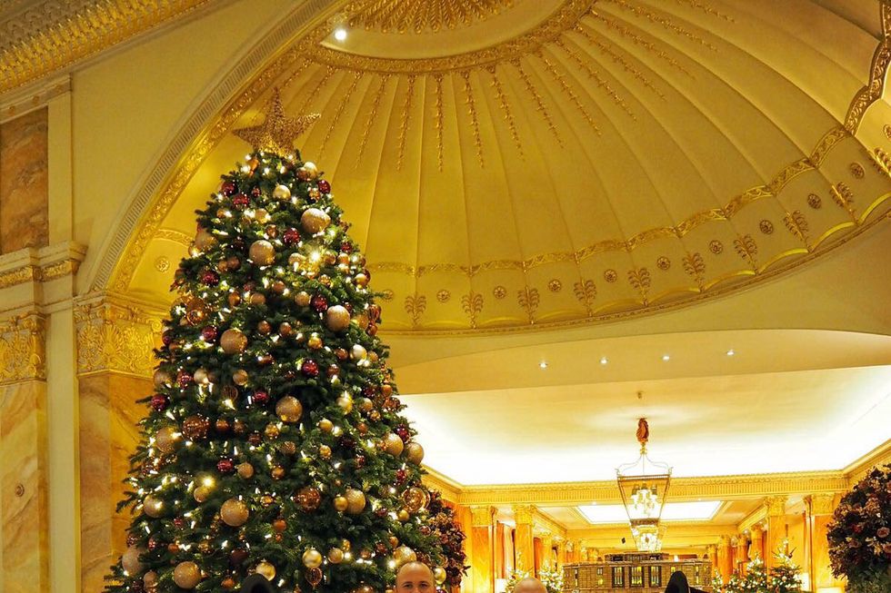 Christmas tree, Tree, Christmas decoration, Christmas, Christmas ornament, Lighting, Woody plant, Interior design, Architecture, Christmas eve, 