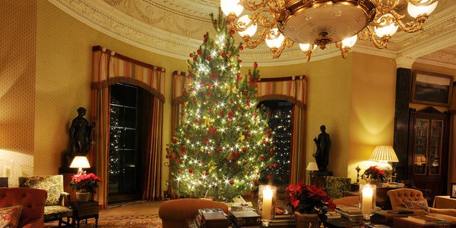 Christmas tree, Christmas, Christmas decoration, Tree, Room, Christmas ornament, Home, Living room, Interior design, Christmas eve, 