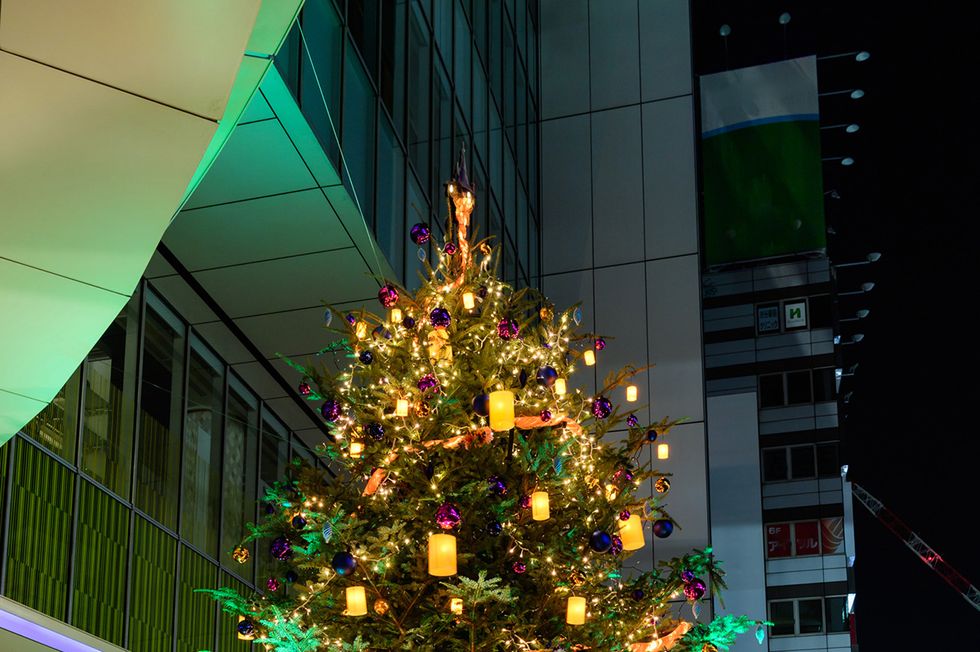 Lighting, Green, Event, Christmas decoration, Christmas tree, Holiday, Woody plant, Light, Interior design, Christmas lights, 