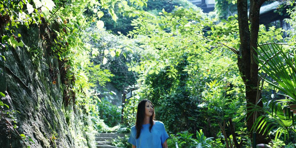 Vegetation, Nature, Green, People in nature, Stairs, Terrestrial plant, Forest, Shrub, Street fashion, Jungle, 