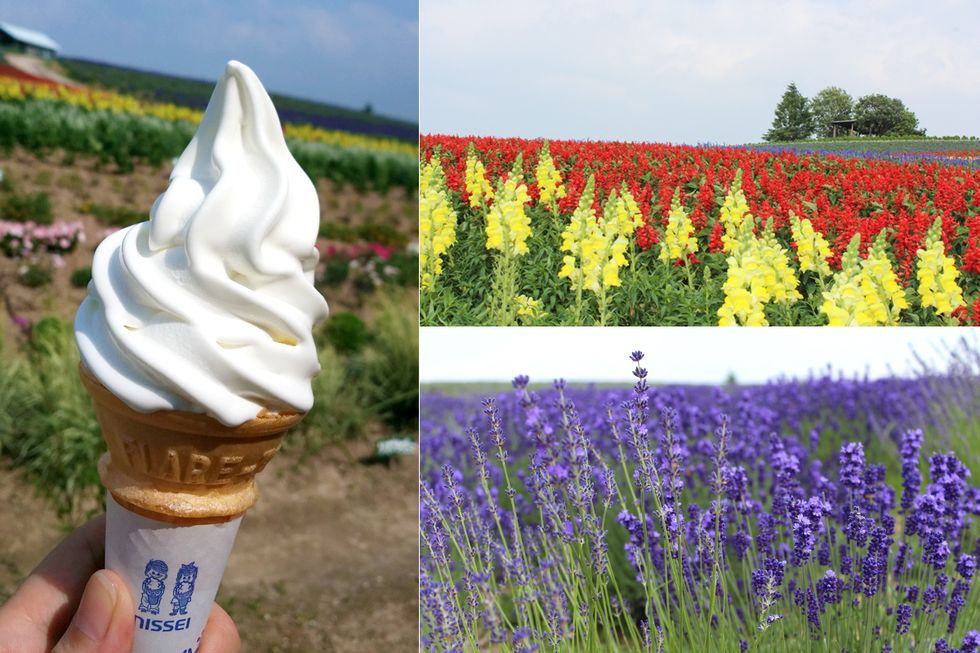 Food, Dessert, Soft Serve Ice Creams, Frozen dessert, Ice cream, Dairy, Ice cream cone, Ingredient, Lavender, Agriculture, 