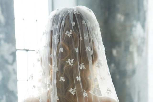 Clothing, Bridal veil, Bridal clothing, Textile, Photograph, Veil, Bride, Wedding dress, Dress, Bridal accessory, 