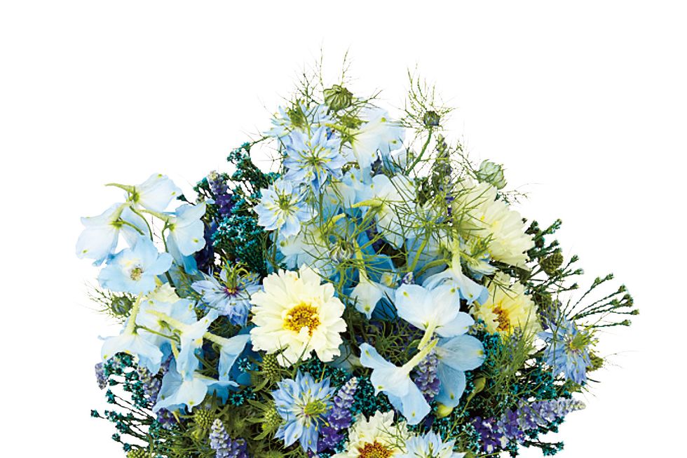 Flower, Petal, Botany, Cut flowers, Bouquet, Art, Floristry, Flower Arranging, Floral design, Annual plant, 