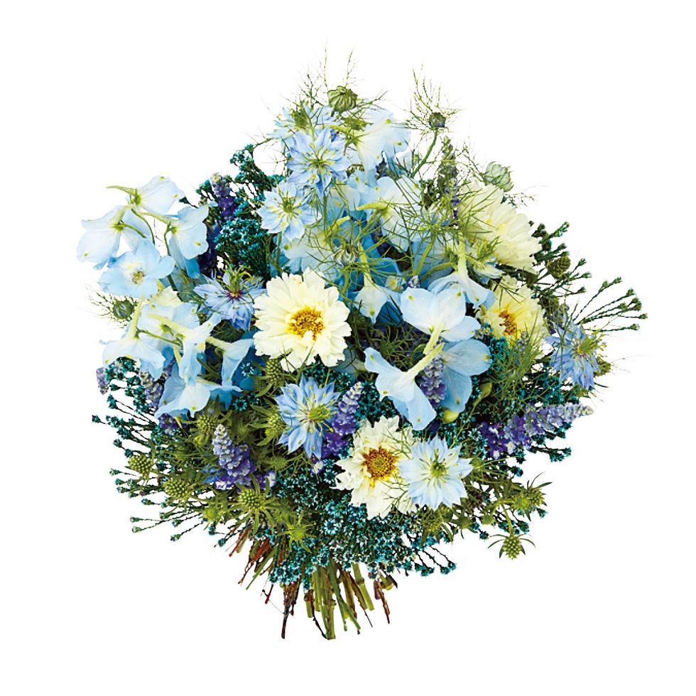 Flower, Petal, Botany, Cut flowers, Bouquet, Art, Floristry, Flower Arranging, Floral design, Annual plant, 