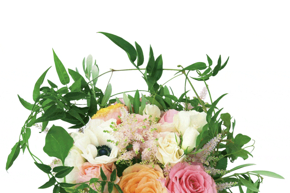 Flower, Petal, Bouquet, Cut flowers, Flowering plant, Rose family, Botany, Floristry, Flower Arranging, Rose order, 