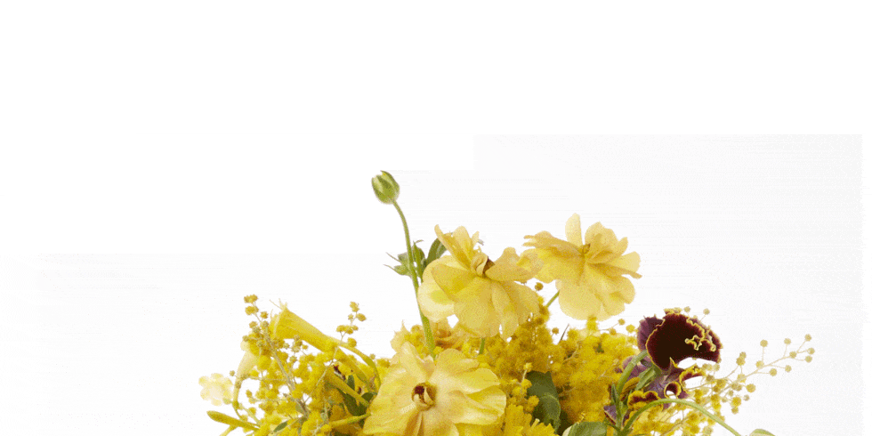 Yellow, Petal, Flower, Botany, Flowering plant, Cut flowers, Flower Arranging, Insect, Floral design, Artificial flower, 