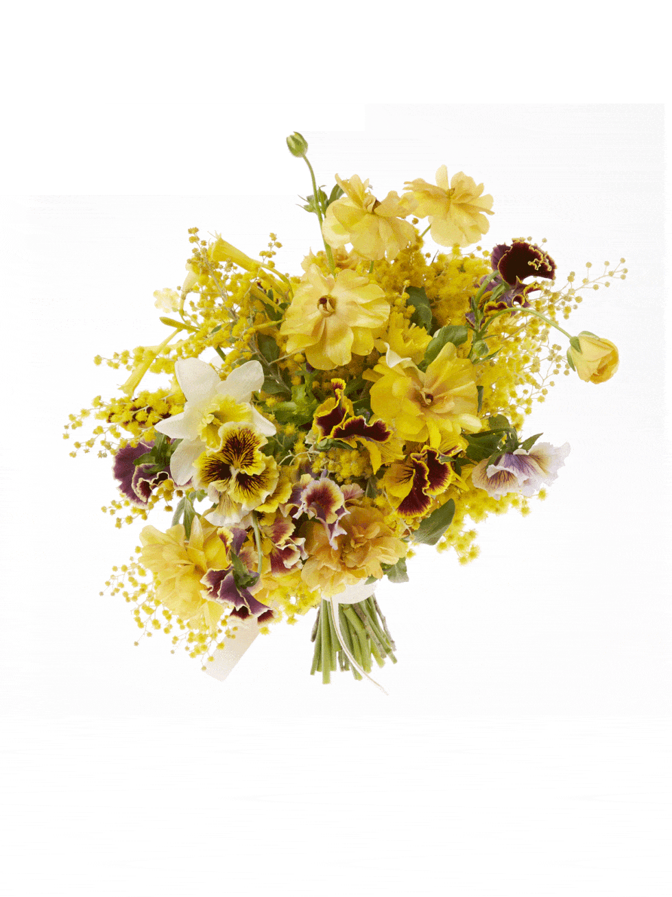 Yellow, Petal, Flower, Botany, Flowering plant, Cut flowers, Flower Arranging, Insect, Floral design, Artificial flower, 