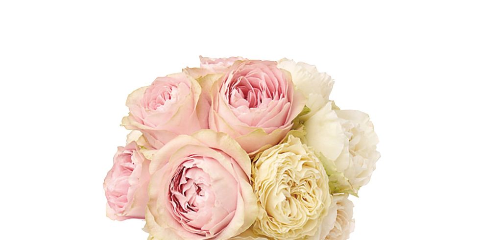 Petal, Flower, Pink, Cut flowers, Bouquet, Peach, Flowering plant, Rose family, Rose order, Flower Arranging, 