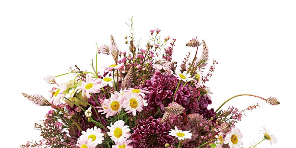 Flower, Bouquet, Floristry, Flower Arranging, Cut flowers, Plant, Floral design, Flowering plant, Flowerpot, Chrysanths, 