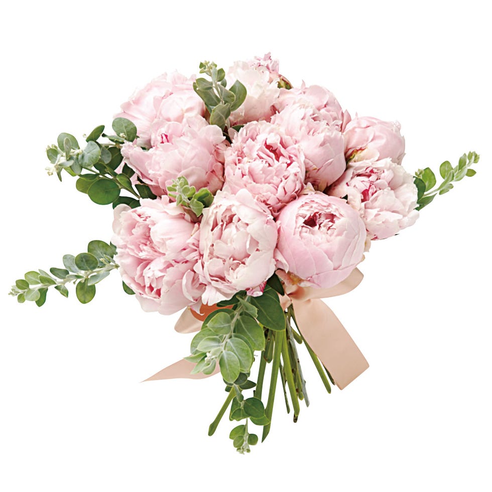 Flower, Flowering plant, Cut flowers, Plant, Pink, Bouquet, common peony, Rosa × centifolia, Garden roses, Rose, 