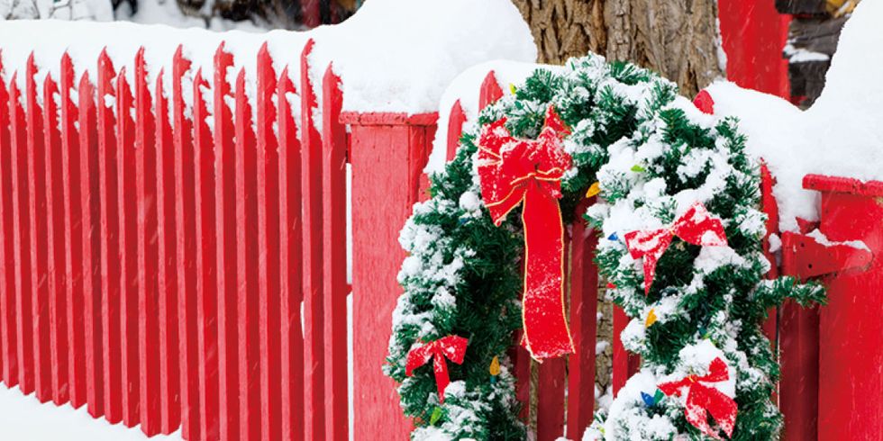 Red, White, Snow, Wreath, Christmas decoration, Winter, Plant, Flower, Interior design, Floristry, 