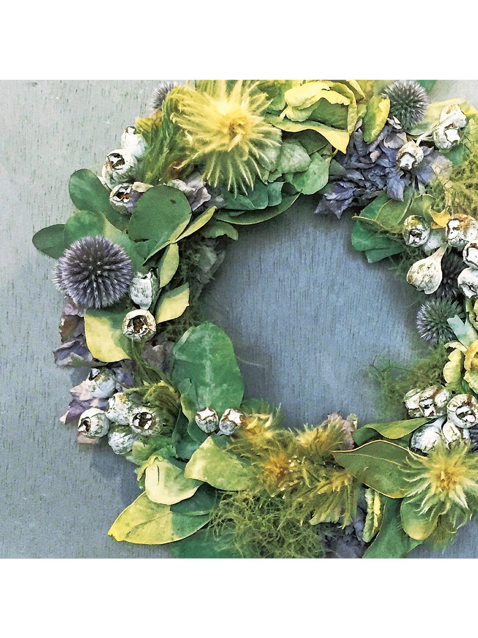 Wreath, Petal, Still life photography, Floral design, Wildflower, Pollen, sunflower, 