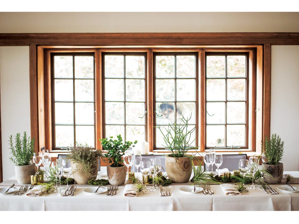 Plant, Window, Flowerpot, Interior design, Fixture, Interior design, Daylighting, Houseplant, Herb, Pottery, 