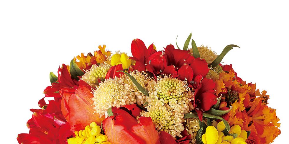 Flower, Bouquet, Flowering plant, Cut flowers, Plant, Floristry, Flower Arranging, Petal, Floral design, Gerbera, 
