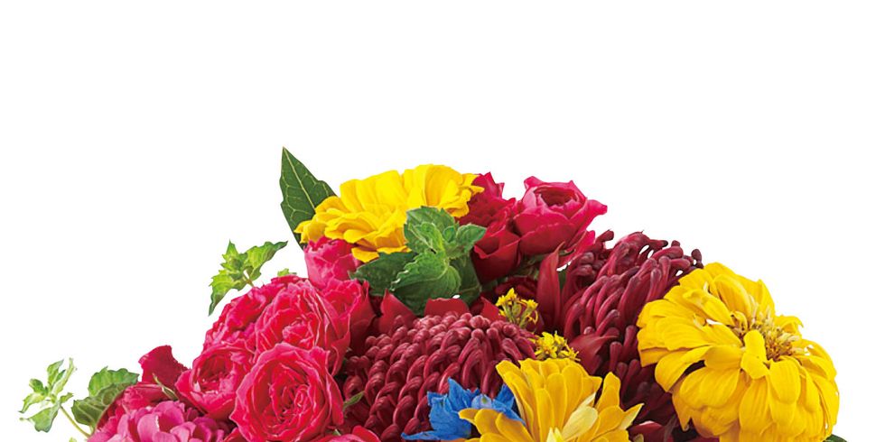 Flower, Bouquet, Cut flowers, Plant, Floristry, Flower Arranging, Flowering plant, Floral design, Chrysanths, Petal, 