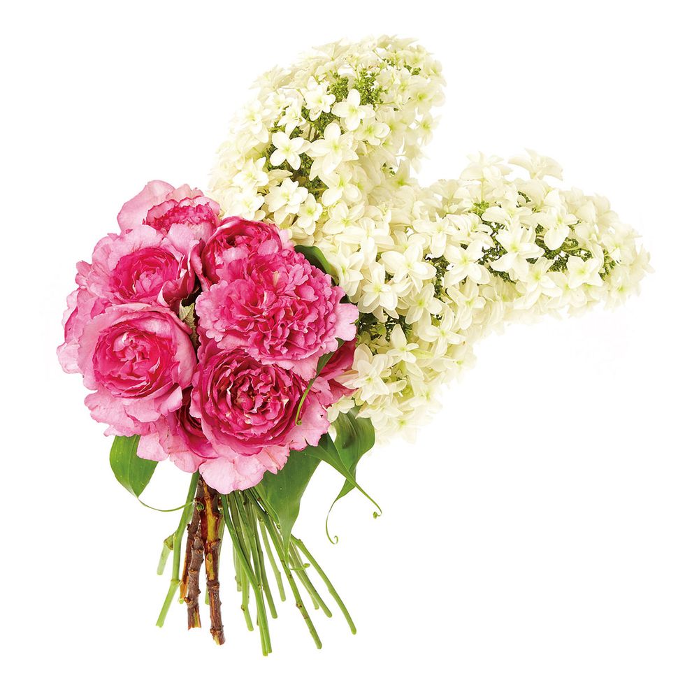 Flower, Bouquet, Cut flowers, Rose, Pink, Plant, Garden roses, Flower Arranging, Flowering plant, Floristry, 