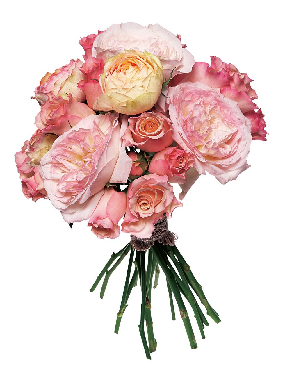 Petal, Flower, Bouquet, Pink, Cut flowers, Flowering plant, Flower Arranging, Peach, Garden roses, Rose family, 
