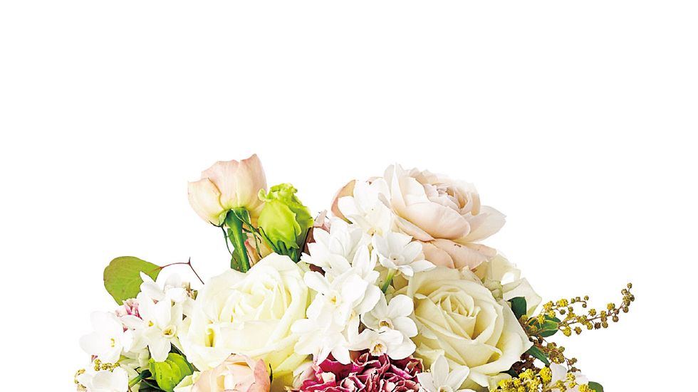 Flower, Bouquet, Cut flowers, Plant, Flower Arranging, Floristry, Rose, Flowering plant, Garden roses, Rose family, 