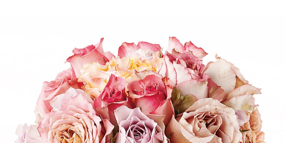 Flower, Bouquet, Cut flowers, Rose, Pink, Plant, Garden roses, Rosa × centifolia, Flowering plant, Rose family, 