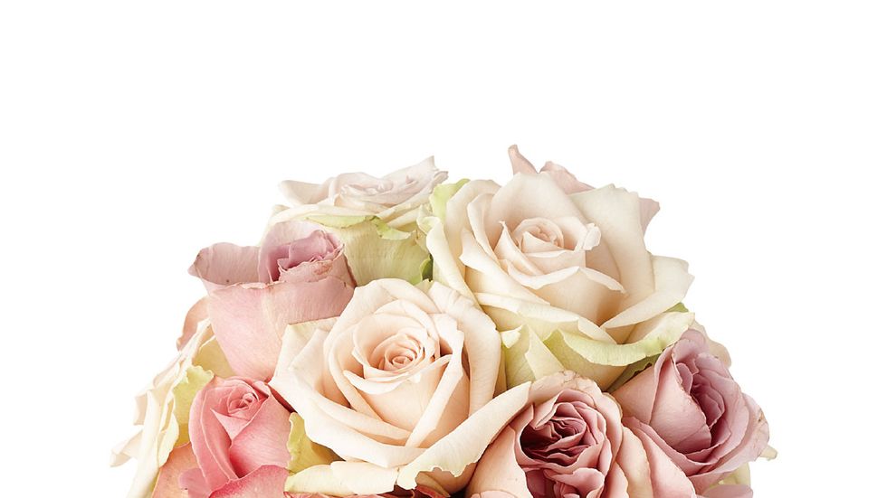 Flower, Bouquet, Cut flowers, Rose, Garden roses, Pink, Plant, Rose family, Rosa × centifolia, Flowering plant, 