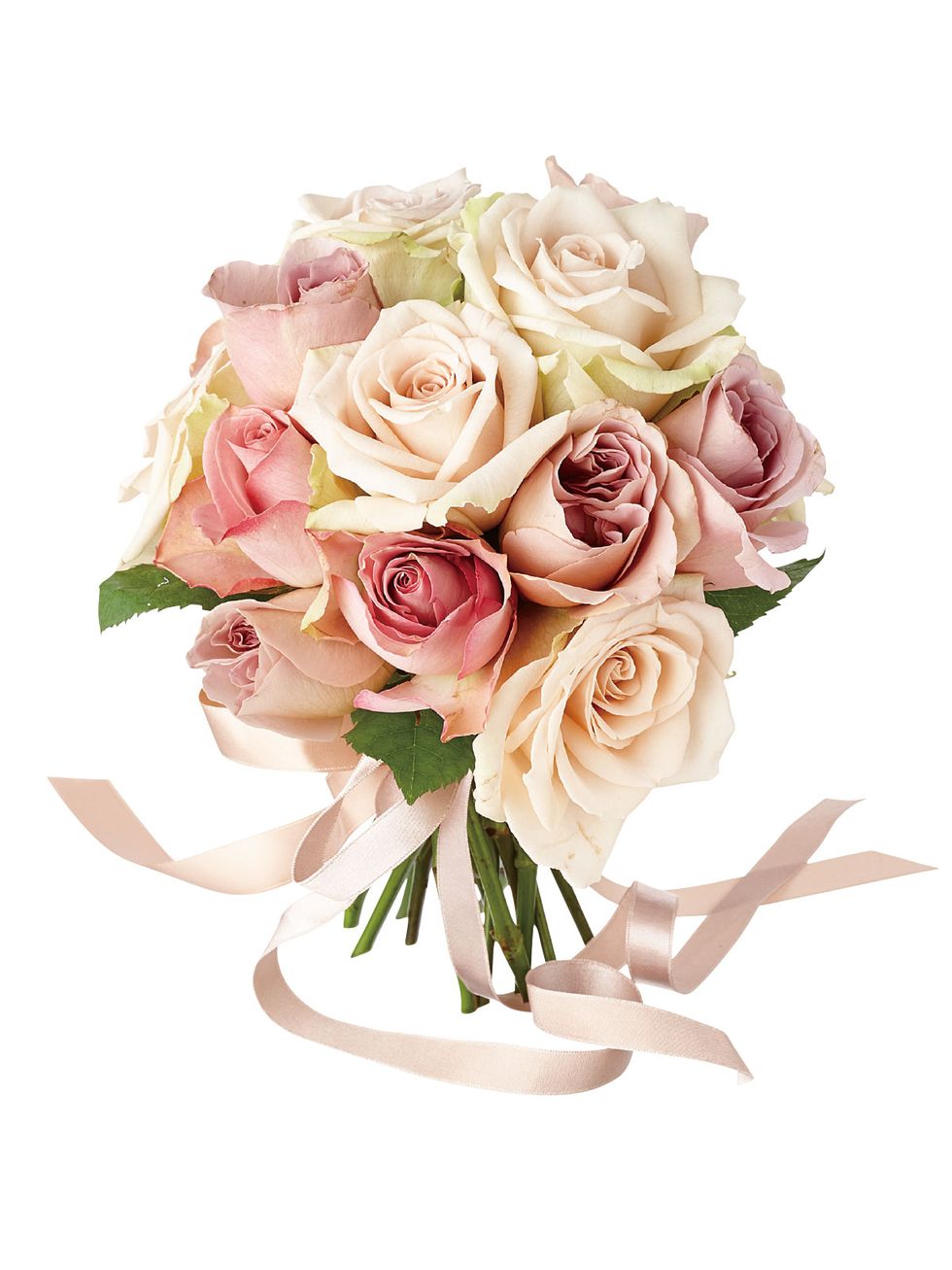 Flower, Bouquet, Cut flowers, Rose, Garden roses, Pink, Plant, Rose family, Rosa × centifolia, Flowering plant, 