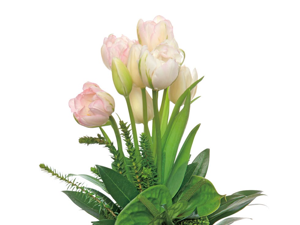 Flower, Flowering plant, Plant, Cut flowers, Bouquet, Tulip, Botany, Flower Arranging, Floristry, Petal, 