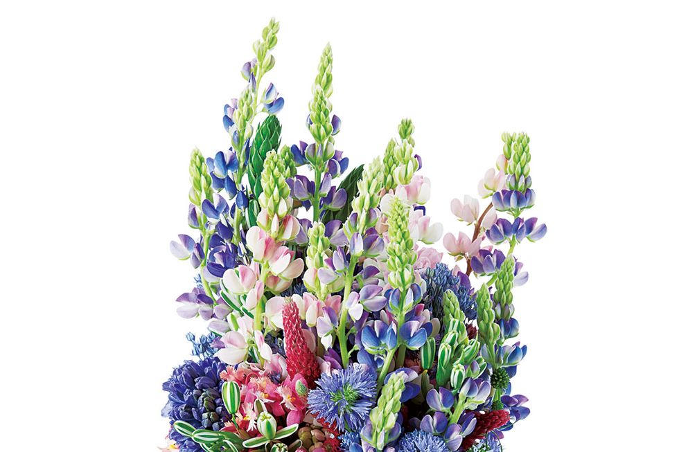 Flower, Bouquet, Cut flowers, Plant, Lavender, Artificial flower, Floristry, Flowering plant, Delphinium, Flower Arranging, 