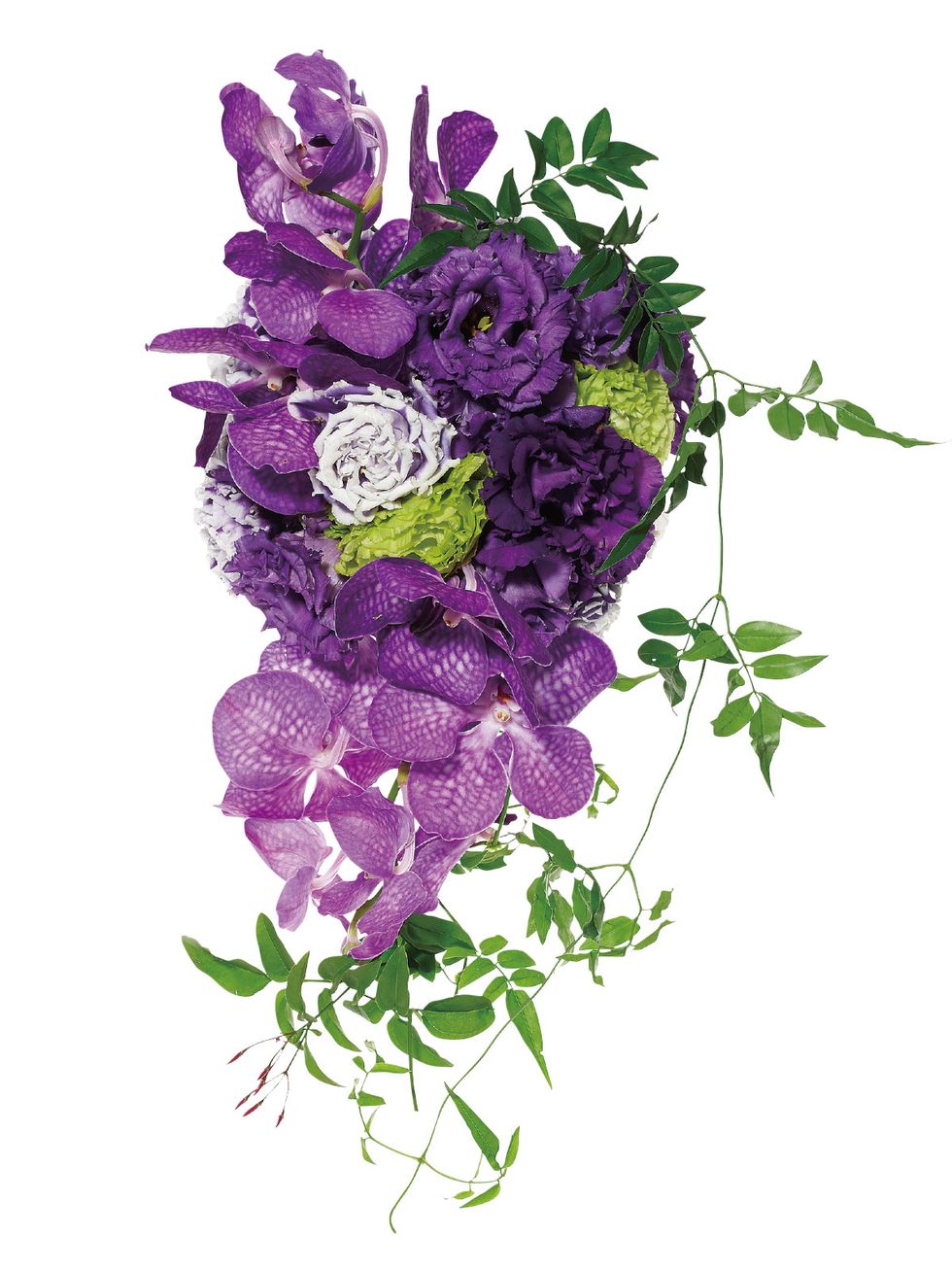 Flower, Cut flowers, Violet, Purple, Lilac, Plant, Lavender, Bouquet, Flowering plant, lilac, 