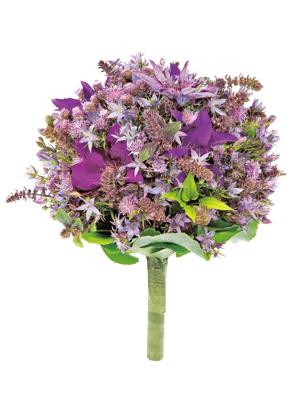 Purple, Flower, Petal, Violet, Lavender, Flowering plant, Botany, Cut flowers, Lilac, Artificial flower, 