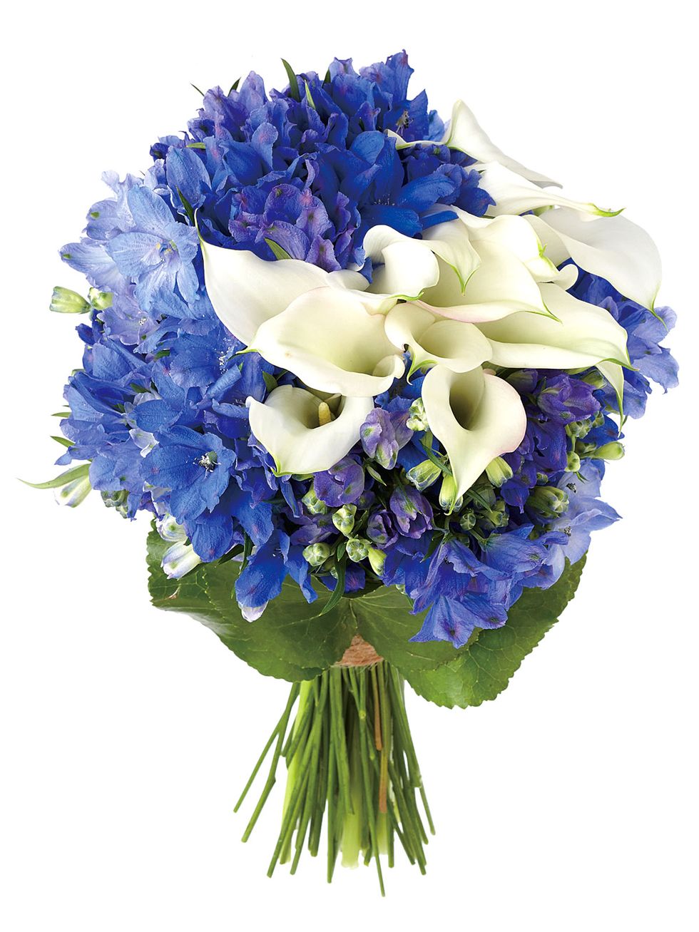 Flower, Flowering plant, Blue, Bouquet, Cut flowers, Plant, Purple, Lavender, Petal, Hydrangea, 