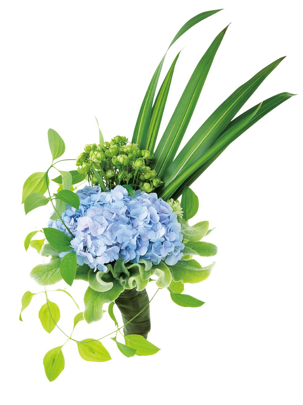 Blue, Flower, Leaf, Aqua, Violet, Hydrangeaceae, Annual plant, Creative arts, Plant stem, Hydrangea, 