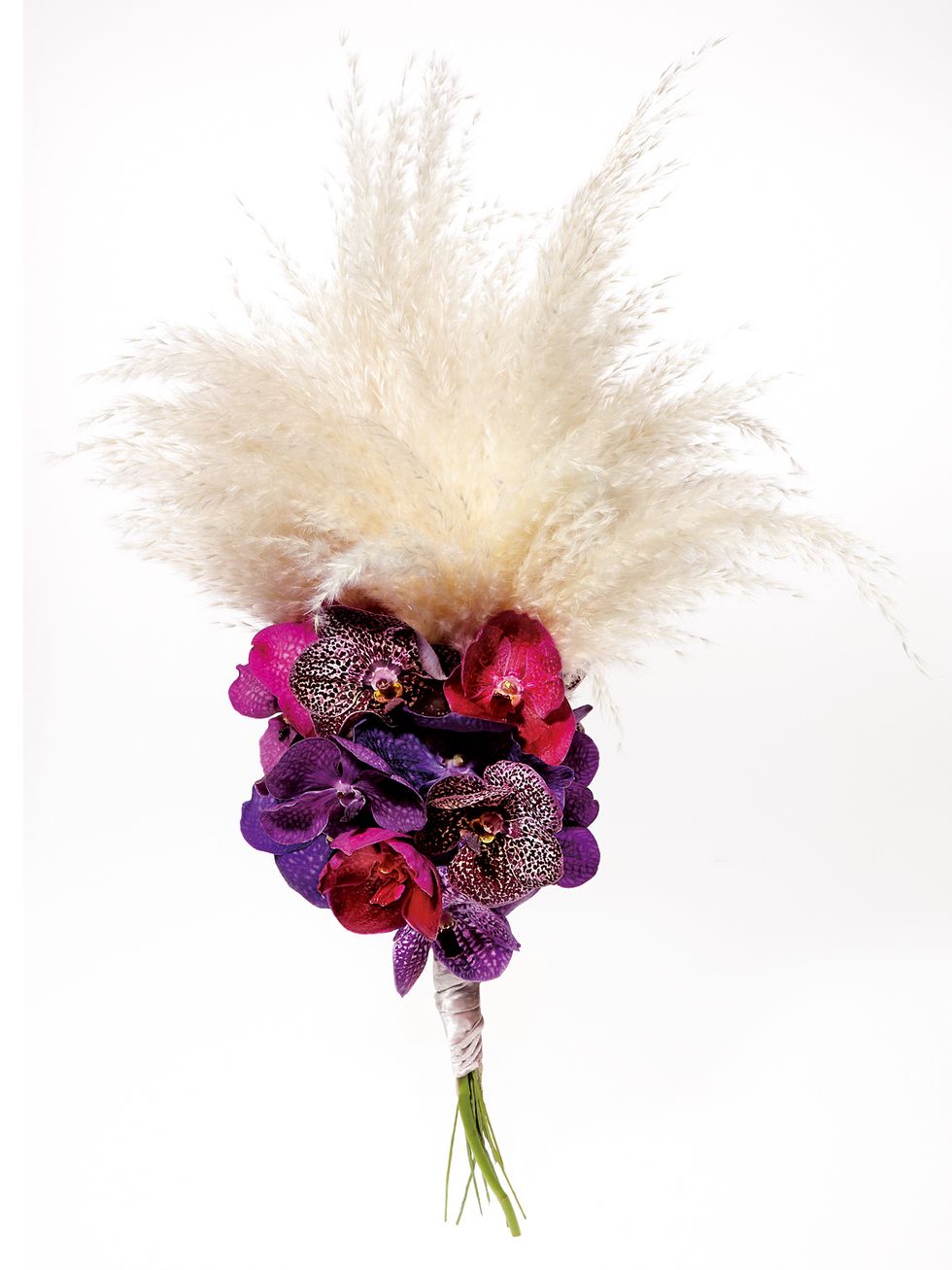 Cut flowers, Pink, Feather, Purple, Violet, Flower, Headpiece, Bouquet, Plant, Fashion accessory, 