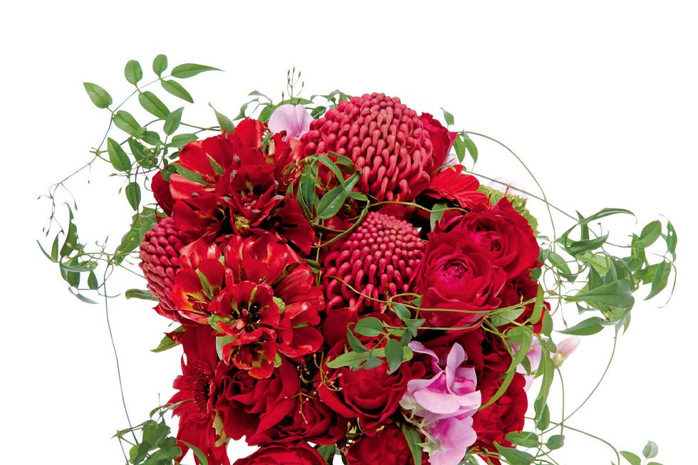 Flower, Bouquet, Flowering plant, Cut flowers, Plant, Flower Arranging, Floristry, Rose, Floral design, Red, 