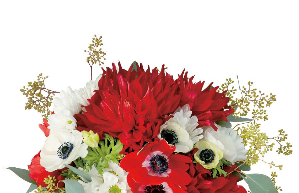 Flower, Bouquet, Flower Arranging, Floristry, Cut flowers, Plant, Floral design, Gerbera, Flowering plant, Anthurium, 