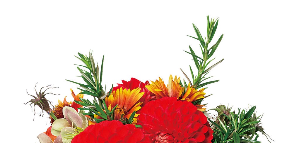 Flower, Bouquet, Flowering plant, Plant, Cut flowers, Floristry, Flower Arranging, Gerbera, Chrysanths, Floral design, 