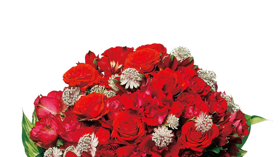 Flower, Bouquet, Flowering plant, Cut flowers, Plant, Red, Floristry, Flower Arranging, Rose, sweet william, 