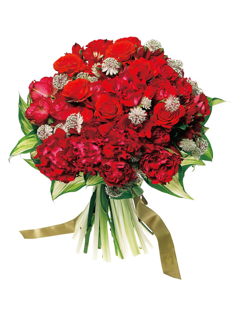 Flower, Bouquet, Flowering plant, Cut flowers, Plant, Red, Floristry, Flower Arranging, Rose, sweet william, 