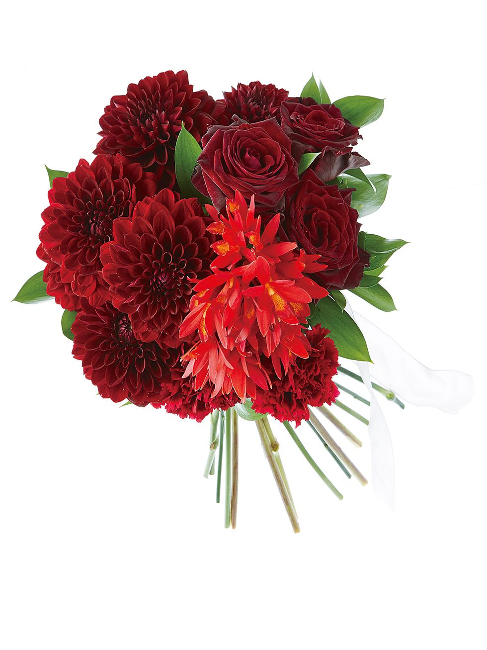 Petal, Flower, Red, Cut flowers, Floristry, Flower Arranging, Flowering plant, Botany, Floral design, Bouquet, 