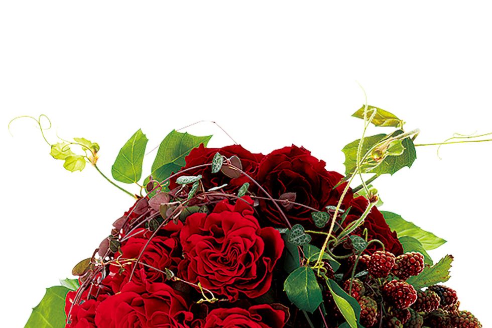 Flower, Flowering plant, Bouquet, Red, Plant, Rose, Cut flowers, Garden roses, Rose family, Floristry, 