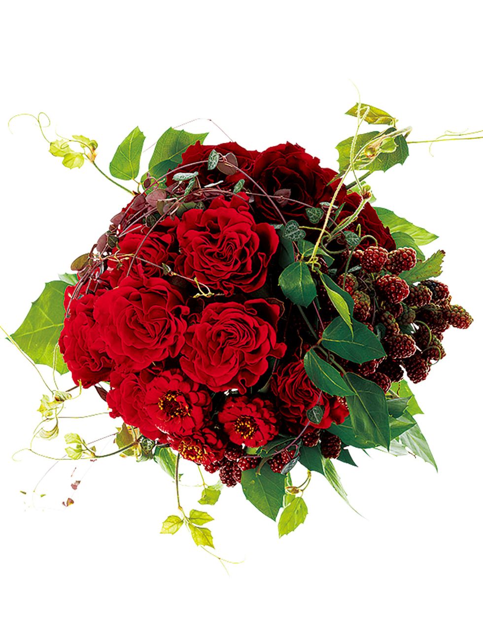 Flower, Flowering plant, Bouquet, Red, Plant, Rose, Cut flowers, Garden roses, Rose family, Floristry, 