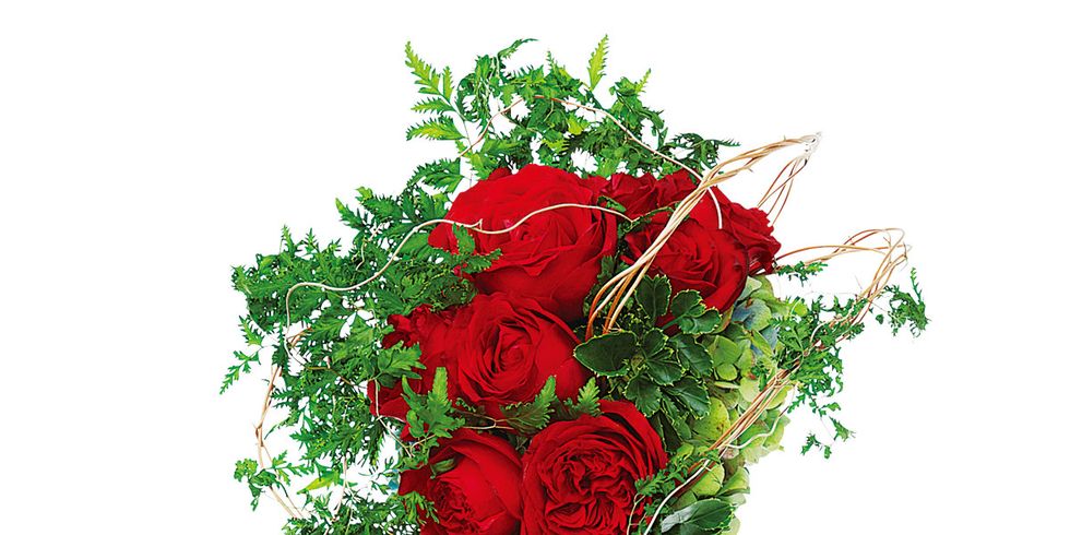 Flower, Bouquet, Cut flowers, Plant, Red, Rose, Flowering plant, Rose family, Illustration, Rose order, 