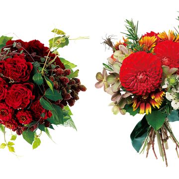 Petal, Flower, Red, Cut flowers, Botany, Floristry, Flowering plant, Colorfulness, Flower Arranging, Bouquet, 