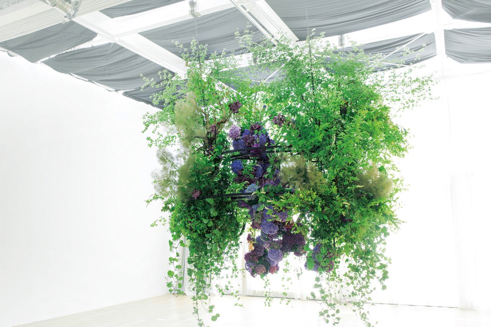Ceiling, Daylighting, Annual plant, Flower Arranging, Floral design, Creative arts, Artificial flower, 