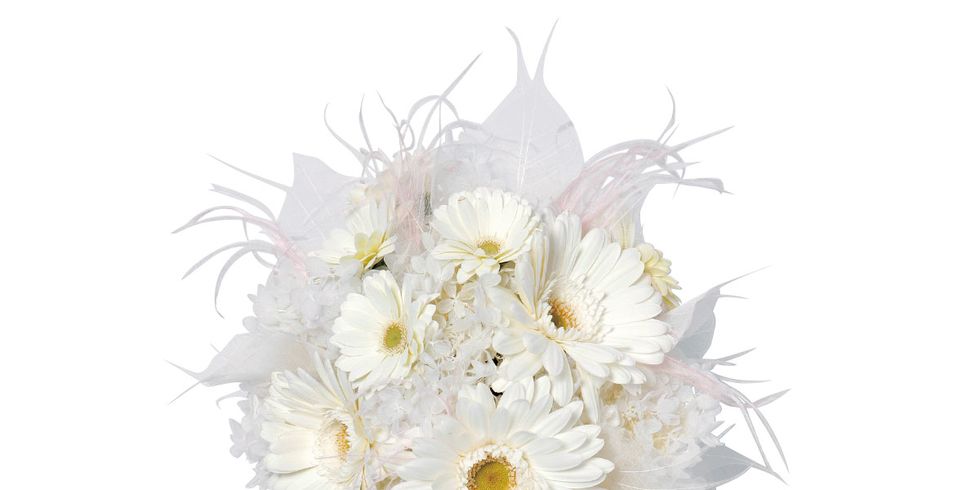 White, Flower, Cut flowers, Bouquet, Plant, Gerbera, Flowering plant, Floristry, Flower Arranging, Floral design, 